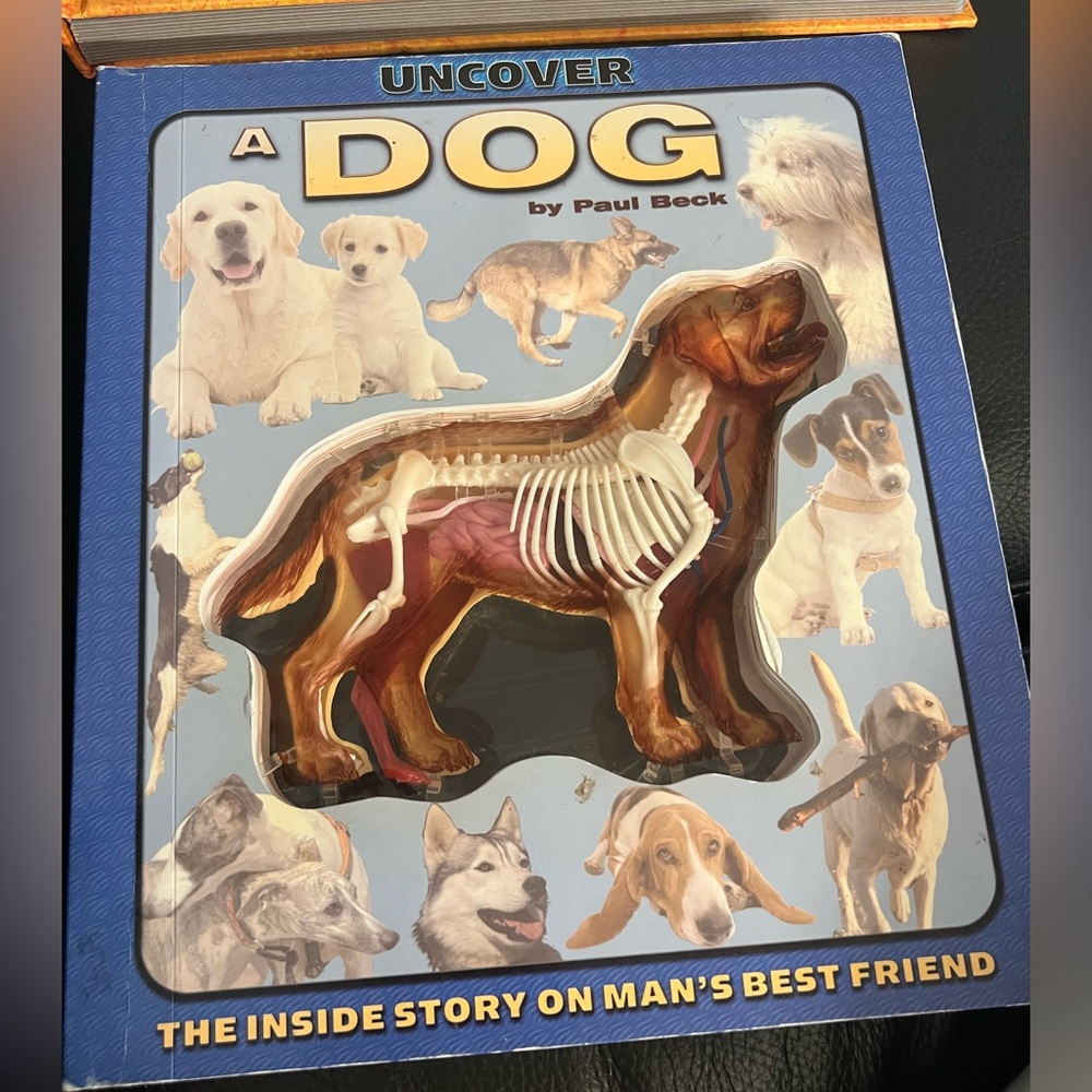 Under cover dog interactive book